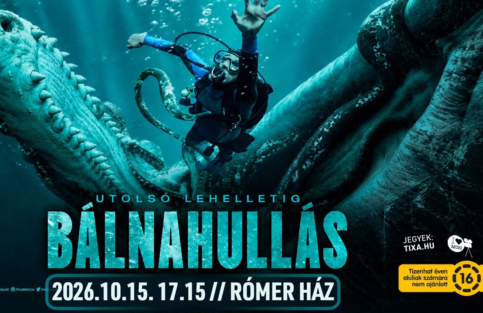 Bálnahullás // Rómer Ház