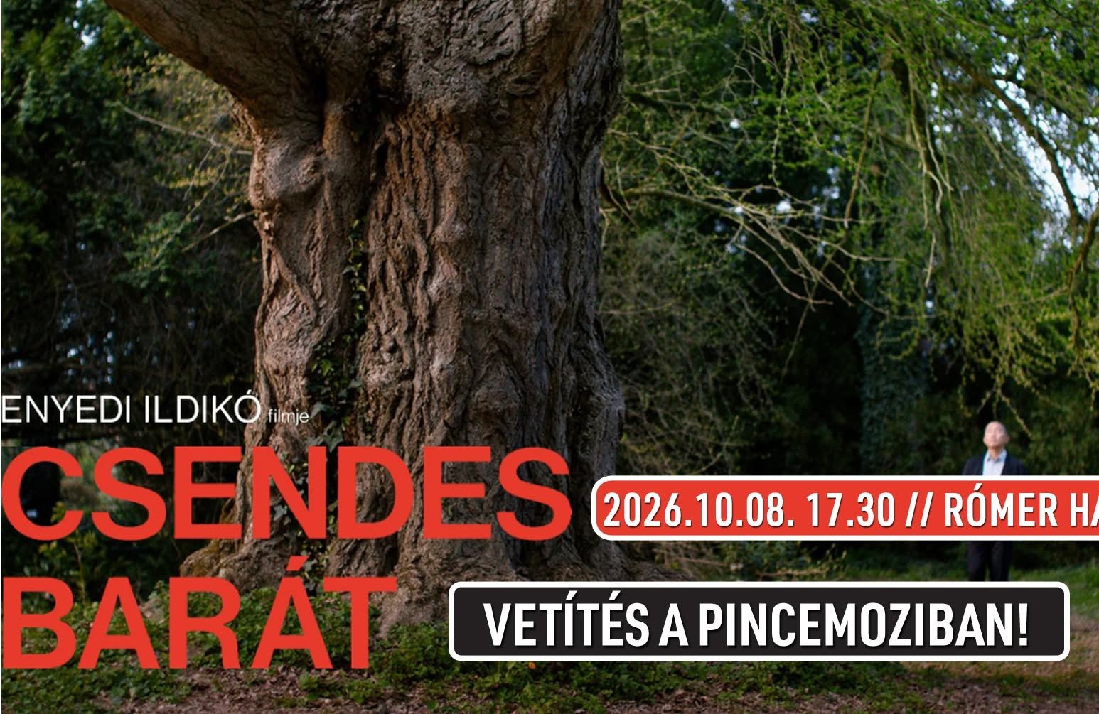 Csendes barát // Pincemozi a Rómer Házban